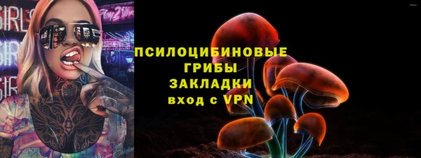 тгк Зеленодольск