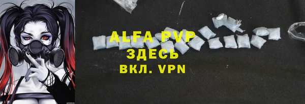 стафф Зерноград