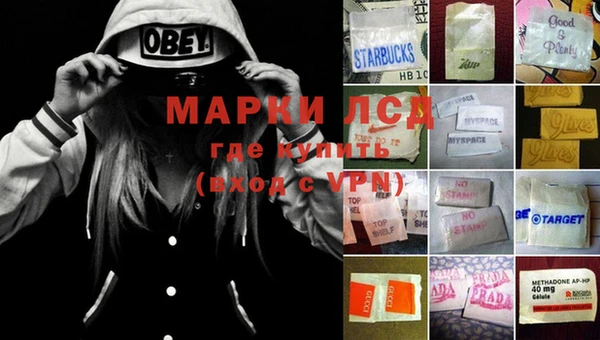 стафф Зерноград