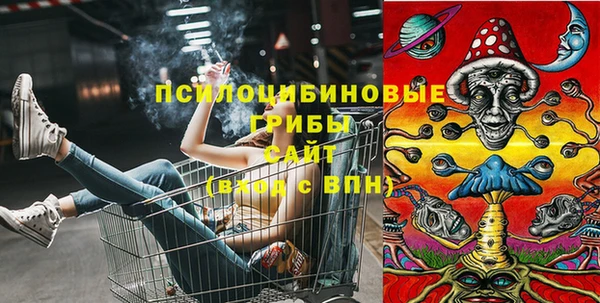 стафф Зерноград