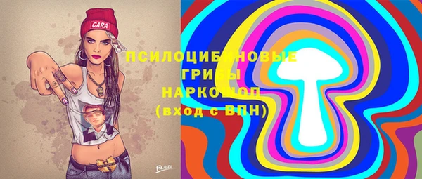 тгк Зеленодольск