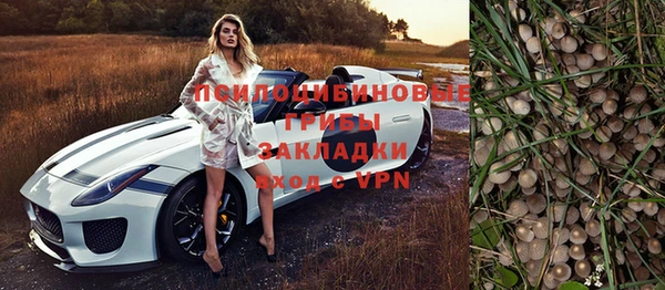 стафф Зерноград